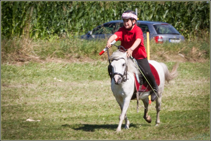 Mounted Games 018